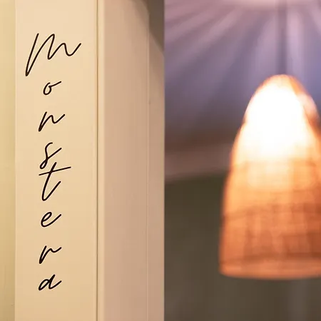 Gasthuis Jungle Boutique