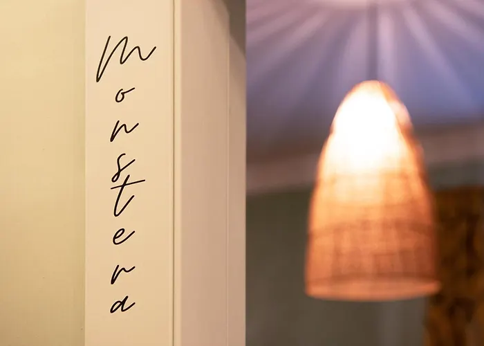 게스트하우스 Jungle Boutique